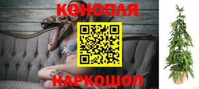 гидра Шахты