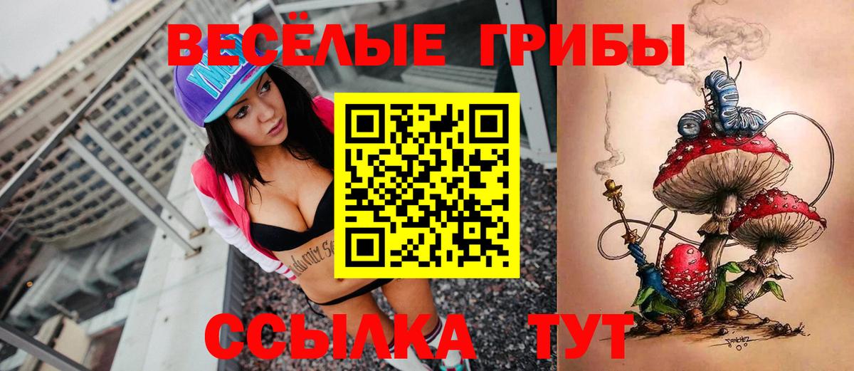 Галлюциногенные грибы Psilocybine cubensis Лянтор