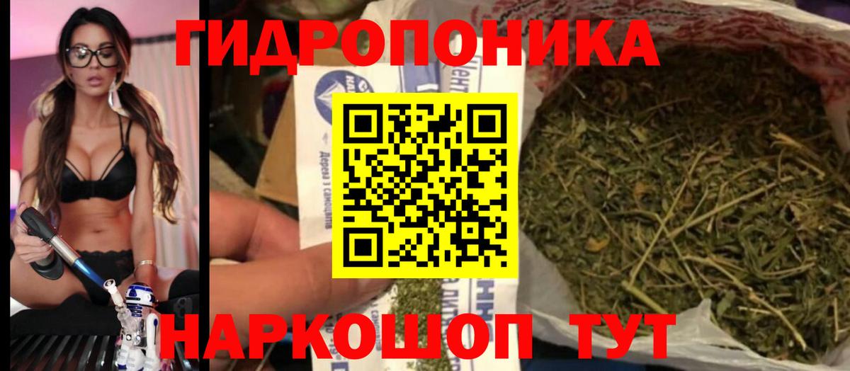 Конопля OG Kush Лянтор